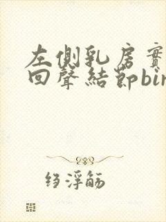 左侧乳房实性低回声结节birads3