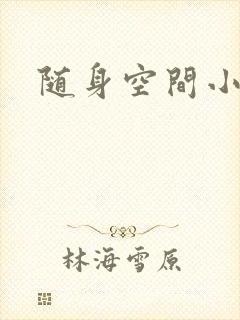 随身空间小说