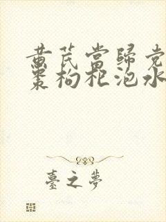 黄芪当归党参红枣枸杞泡水功效