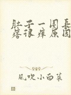 肚子一圈长红疙瘩很痒原因