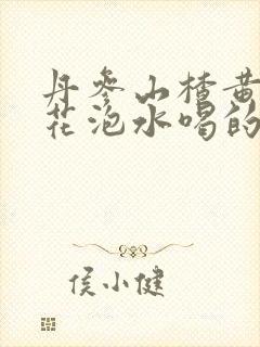丹参山楂黄芪红花泡水喝的功效与作用封面