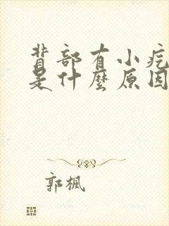 背部有小疙瘩痒是什么原因引起的