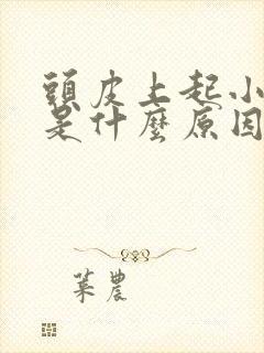 头皮上起小疙瘩是什么原因