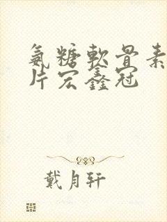 氨糖软骨素肽钙片宏鑫冠