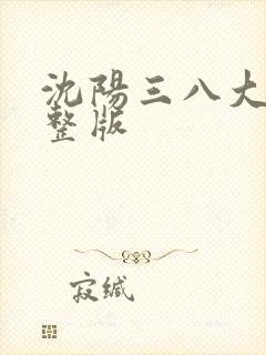 沈阳三八大案完整版