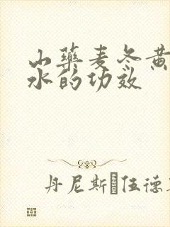 山药麦冬黄芪煮水的功效