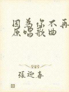 因为你不再是我原唱歌曲