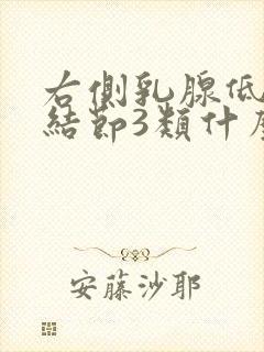 右侧乳腺低回声结节3类什么意思