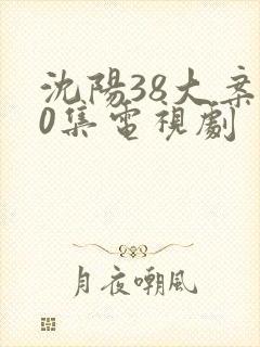 沈阳38大案20集电视剧