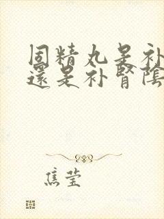 固精丸是补肾阳还是补肾阴