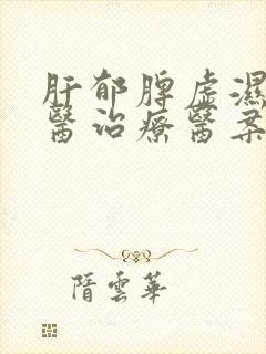 肝郁脾虚湿热中医治疗医案封面