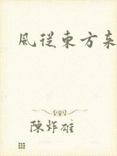 风从东方来封面