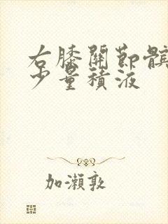 右膝关节髌上囊少量积液