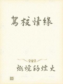 驾校情缘