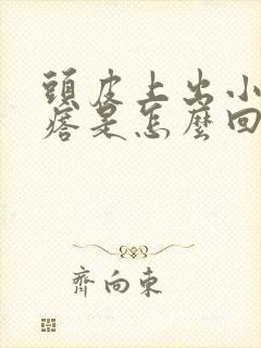 头皮上出小红疙瘩是怎么回事