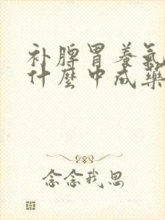 补脾胃养气血吃什么中成药封面