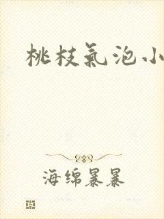 桃枝气泡小说