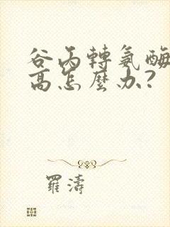 谷丙转氨酶总是高怎么办?