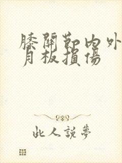 膝关节内外侧半月板损伤
