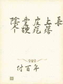 阴囊皮上长了一个硬疙瘩封面