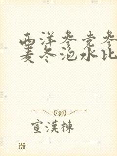 西洋参党参黄芪麦冬泡水比例