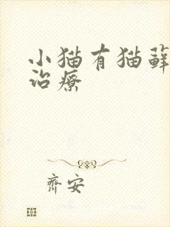小猫有猫藓怎么治疗