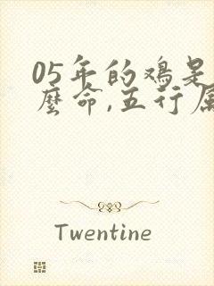 05年的鸡是什么命,五行属性