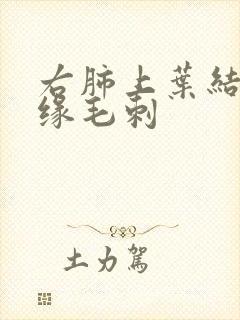 右肺上叶结节边缘毛刺