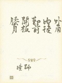 膝关节内外侧半月板前后角变性