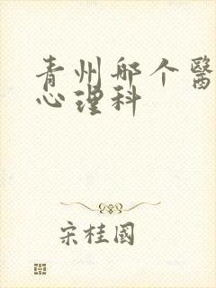 青州哪个医院有心理科