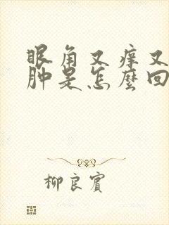 眼角又痒又疼又肿是怎么回事封面
