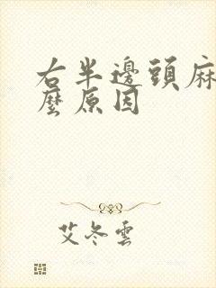 右半边头麻是什么原因