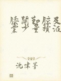 膝关节腔及髌上囊少量积液