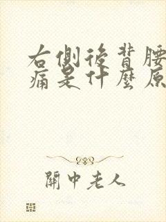 右侧后背腰部疼痛是什么原因女性