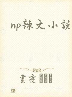 np辣文小说