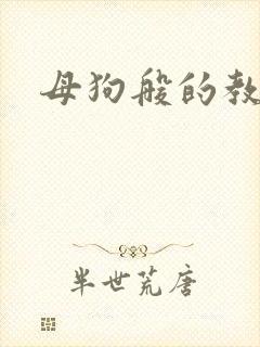 母狗般的教师封面