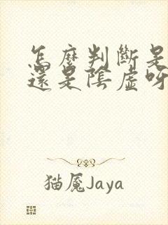 怎么判断是阳虚还是阴虚呀