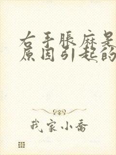 右手胀麻是什么原因引起的封面