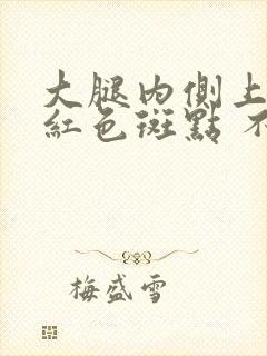 大腿内侧上出现红色斑点 不痒