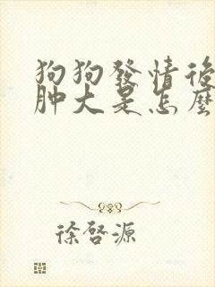 狗狗发情后乳腺肿大是怎么回事
