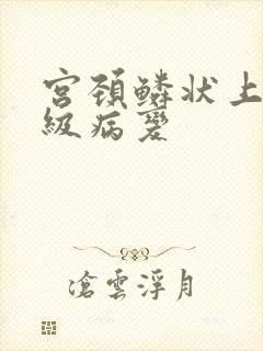 宫颈鳞状上皮高级病变封面