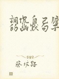 调侃自己胆子小的幽默句子封面