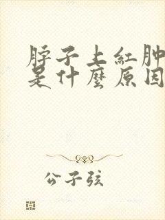 脖子上红肿瘙痒是什么原因