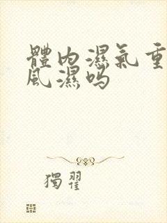 体内湿气重会得风湿吗