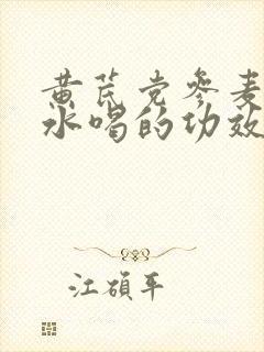 黄芪党参麦冬泡水喝的功效