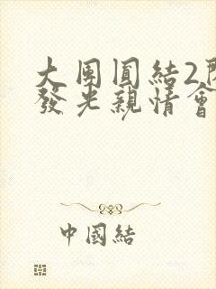 大团圆结2闪闪发光亲情会