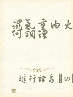 湿气重内火大如何调理