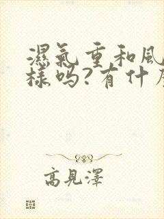 湿气重和风湿一样吗?有什么区别?