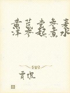 黄芪党参麦冬西洋参起煮水的功效与作用
