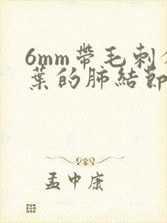 6mm带毛刺分叶的肺结节封面